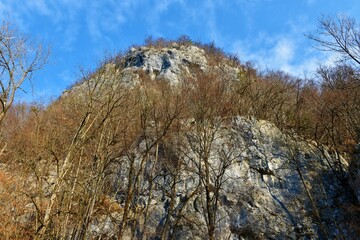 Rock cliff bellow Osojnica mountain and above Bohinjska Bela in Slovenia