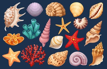 Seashells set. Various mollusk seashells different forms, starfish and coral. Underwater flora, sea plants vector illustration.