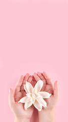 Female hands with beautiful natural manicure with white dried flower on pink background with copy space