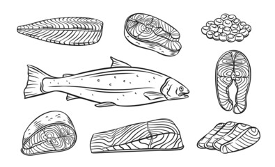 Salmon whole red fish, caviar, raw steaks and fillet realistic isolated outline vector illustration. Drawn monochrome seafood meal. - obrazy, fototapety, plakaty