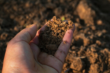 agricultural soil inspection outdoor area