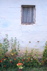old window with red flowers