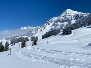 Fototapeta na wymiar Fairytale alpine winter atmosphere the peaks of the Alpstein mountain range and in the Appenzell massif, Nesslau (Obertoggenburg region) - Canton of St. Gallen, Switzerland (Schweiz)