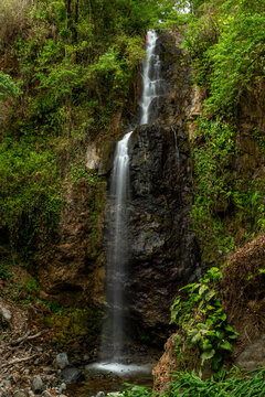 Waterfall, stream and lush cloud forest in Chiriqui Highlands during the dry season, Panama - stock photo
