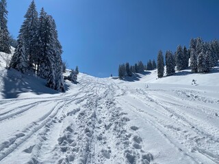 Wonderful winter hiking trails and traces on the slopes of the Alpstein mountain range and in the fresh alpine snow cover of the Swiss Alps, Nesslau - Obertoggenburg, Switzerland (Schweiz)