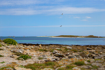 Strand Küste Steine