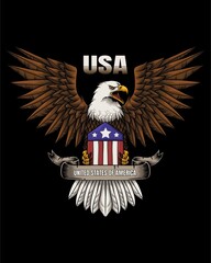 Eagle america ribbon vector illustration