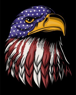 Eagle head america flag fur vector illustration