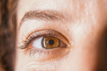 Fototapeta premium close up of a female eye