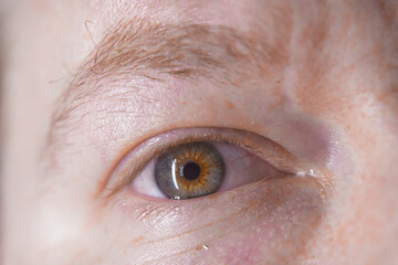 Fototapeta premium close up of eye close up