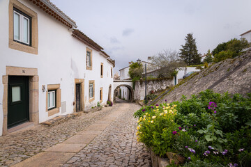 Fototapeta na wymiar Street with traditional white houses in medieval village Marvao (Portugal, Alentejo)