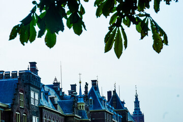 town in the city