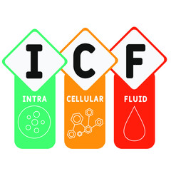 ICF - intracellular fluid acronym. business concept background.  vector illustration concept with keywords and icons. lettering illustration with icons for web banner, flyer, landing pag