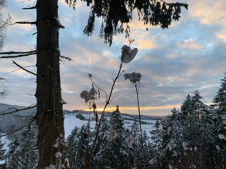 sunset in the mountains