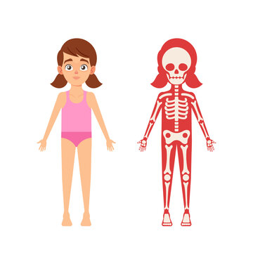 Children Anatomy Concept. Cute Girl Skeleton, Human Body Systems Educational Kids Anatomy Infographics Chart