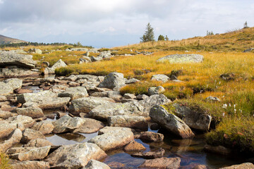 A clear mountain stream on the green meadows in the Austrian Alps