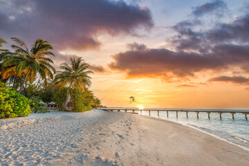 Fantastic closeup view of sunset beach. Tropical island beach landscape exotic palm coast, wooden...