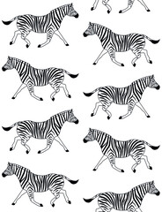 Vector seamless pattern of flat zebra isolated on white background