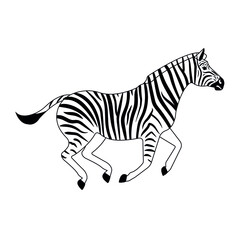 Vector hand drawn flat running zebra isolated on white background