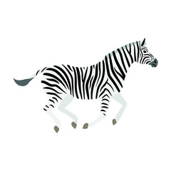Fototapeta na wymiar Vector hand drawn flat running zebra isolated on white background