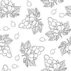 Ripe grape berries, seamless pattern isolated on white background. Good for textile, wrapping paper.