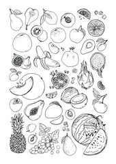 Vegetables and fruits food vector poster. Color sketch of products. Decor for kitchen and restaurant. Farm fruits and berries. Watermelon, banana, pineapple, apple, pear