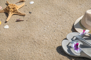 Fototapeta na wymiar Flip-flops, hat and seashells on a sandy beach with frame for text. Summer background