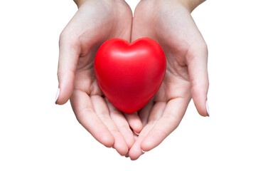 hands holding red heart, heart health insurance, organ donation, happy volunteer charity, CSR social responsibility,world heart day, world health day,world mental health day,foster home concept