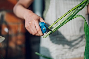 Florist cutting flower stem with pruning shears ina flower shop.