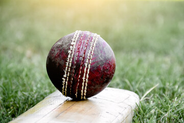 Cricket sport training equipments, old leather ball and wooden bat on grass court, soft and...