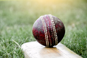 Cricket sport training equipments, old leather ball and wooden bat on grass court, soft and...