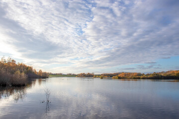 Autumn trees by the lake.