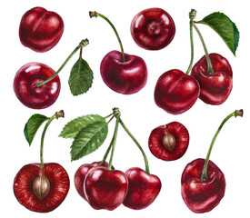 Watercolor cherry set, cherry on the branch clipart, hand-drawn summer fruits icon.