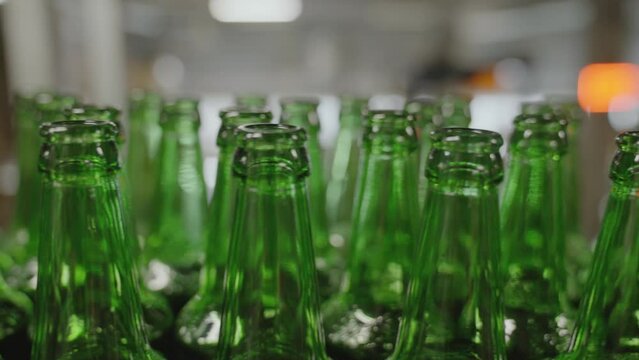 Close-up of green glass bottles moving along the production line. Beer production