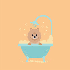 cute dog taking a bath with foam