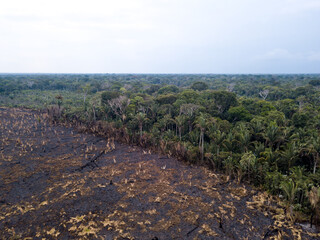 Aerial view of illegal deforestation in the amazon rainforest. Climate change. Forest trees cut and...