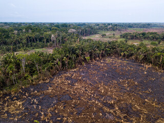 Aerial view of illegal deforestation in the amazon rainforest. Climate change. Forest trees cut and...