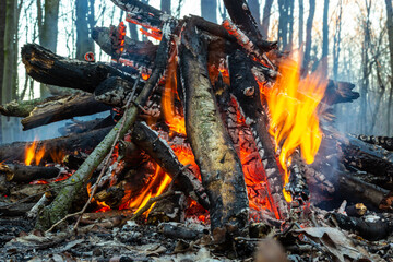 Campfire in the spring forest. Rest on the weekend. Danger of forest fires