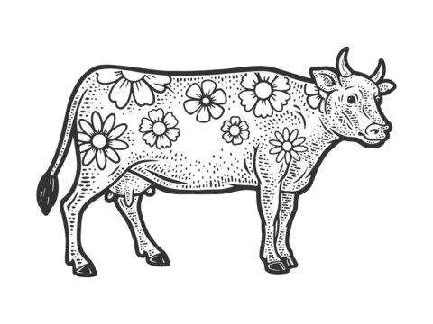 cow with flowers instead of spots sketch engraving vector illustration. T-shirt apparel print design. Scratch board imitation. Black and white hand drawn image.