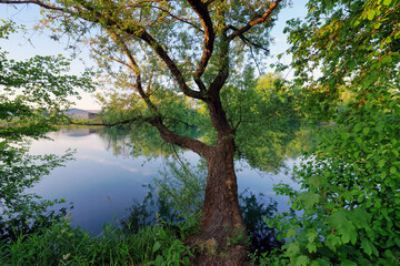 Marne river bank and mouth of the Morbras river in Ile-De-France Region