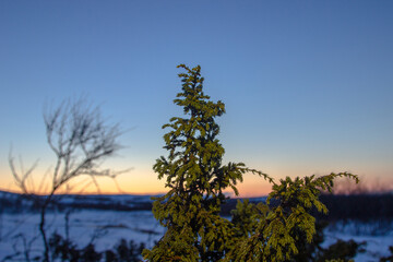 sunset over the river