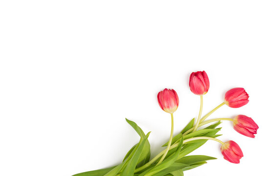 Pink tulips bouquet of flowers isolated on white background. Happy Easter, spring, wedding, birthday, 8 march romantic love, mother day mockup card. Flat lay, ovehead top view