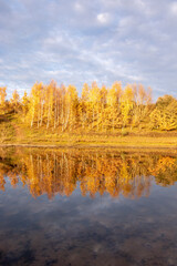 Autumn trees by the lake.
