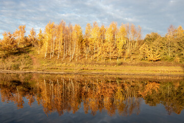 Fototapeta na wymiar Autumn trees by the lake.