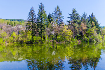 Fototapeta na wymiar lake in the park with reflections