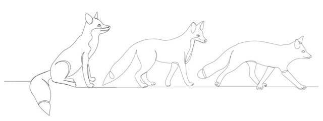 foxes drawing in one continuous line, isolated, vector