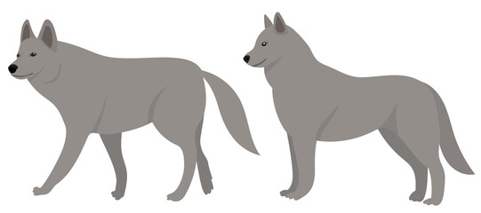wolves flat design, isolated on white background, vector