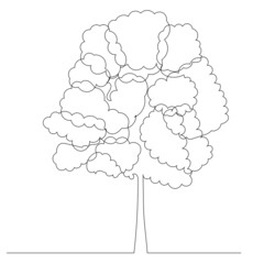 tree drawing in one continuous line