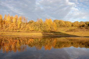 Autumn trees by the lake.
