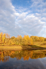 Autumn trees by the lake.